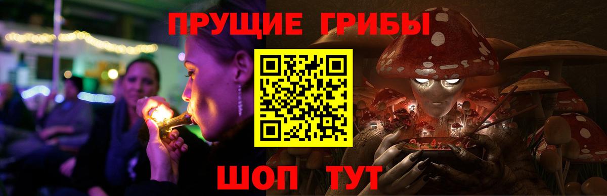купить закладку  Псилоцибиновые грибы Magic Shrooms  Вход с VPN  Керчь  Псилоцибиновые грибы MAGIC MUSHROOMS 